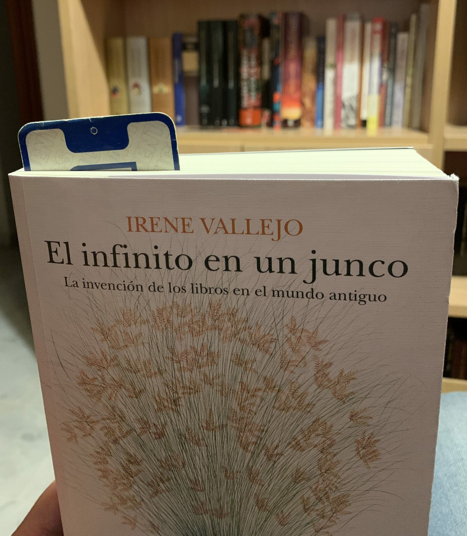 El infinito en un junco