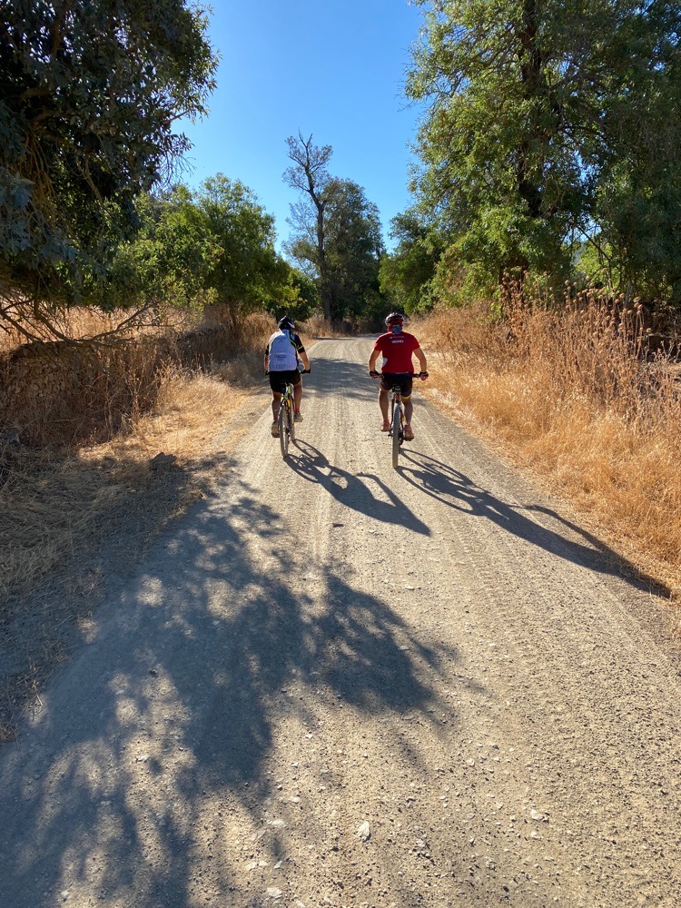 Bicicleta de montaña. Deporte y salud mental