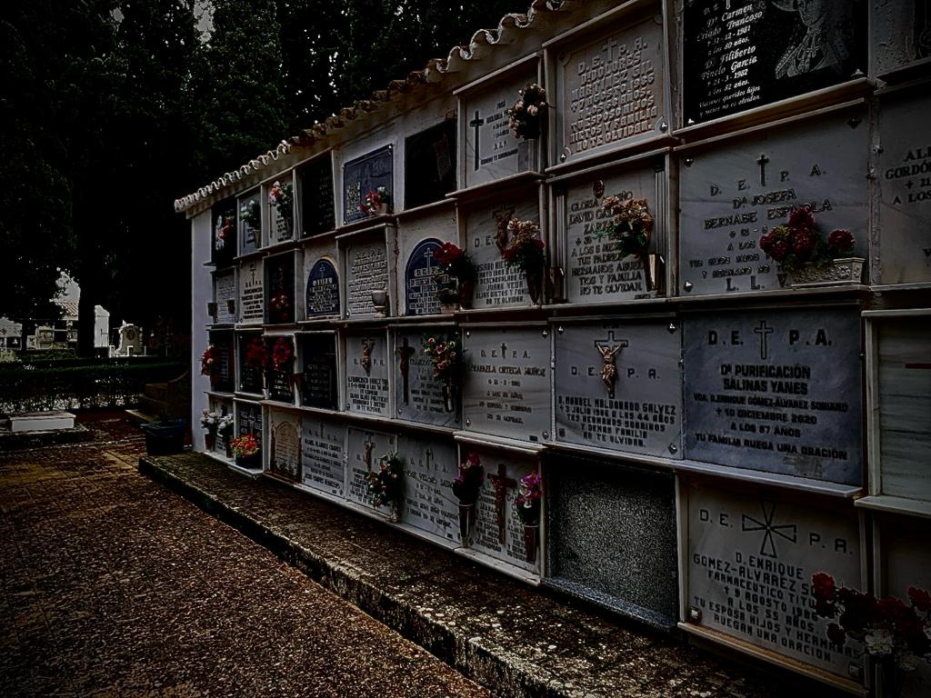 Cementerio oscuro. Duelo prolongado